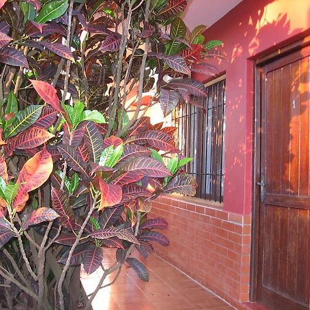 Alecrin Apart Puerto Iguazú Kültér fotó